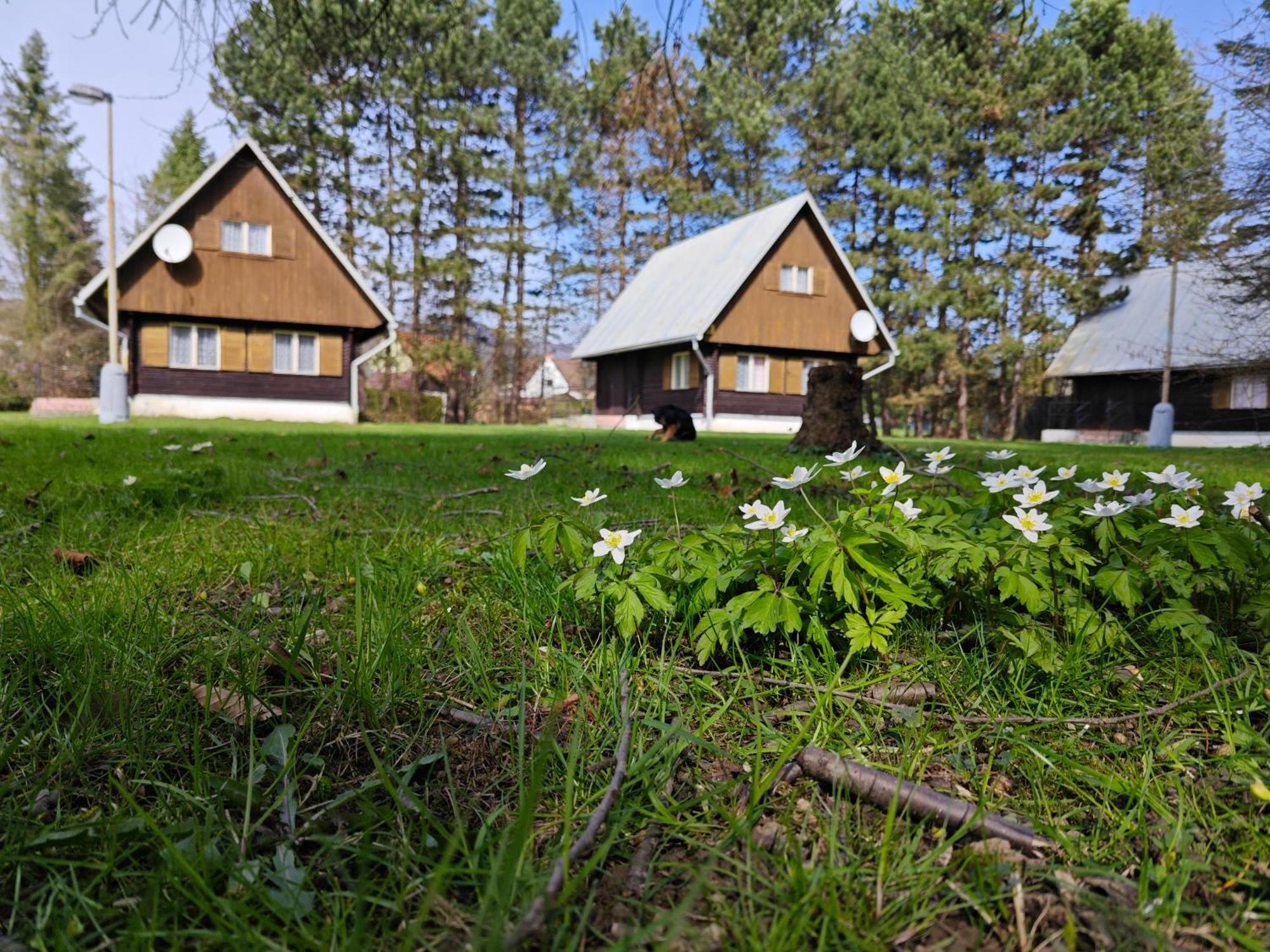 Vila Bungalovy Roznov Rožnov pod Radhoštěm Exteriér fotografie